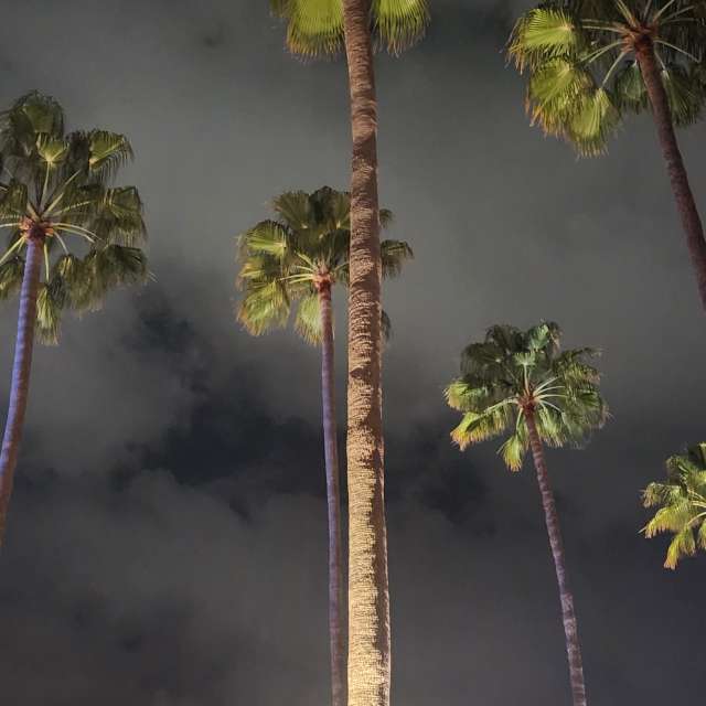 天气预报，带Rukh-08-08精美的照片