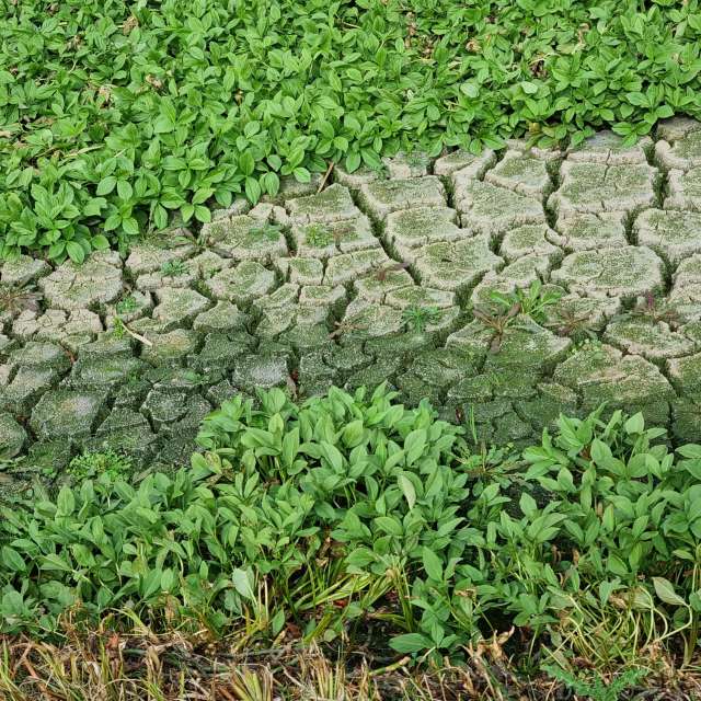 Greetの美しい写真による天気予報