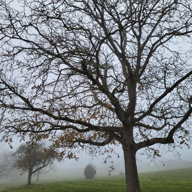 Weather forecasts with beautiful photos by aida-khaldi