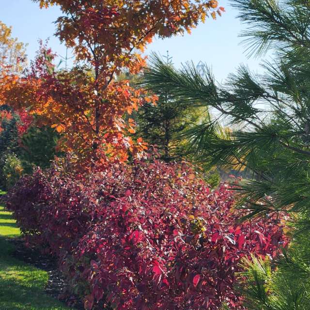 天气预报，带Rukh-08-08精美的照片