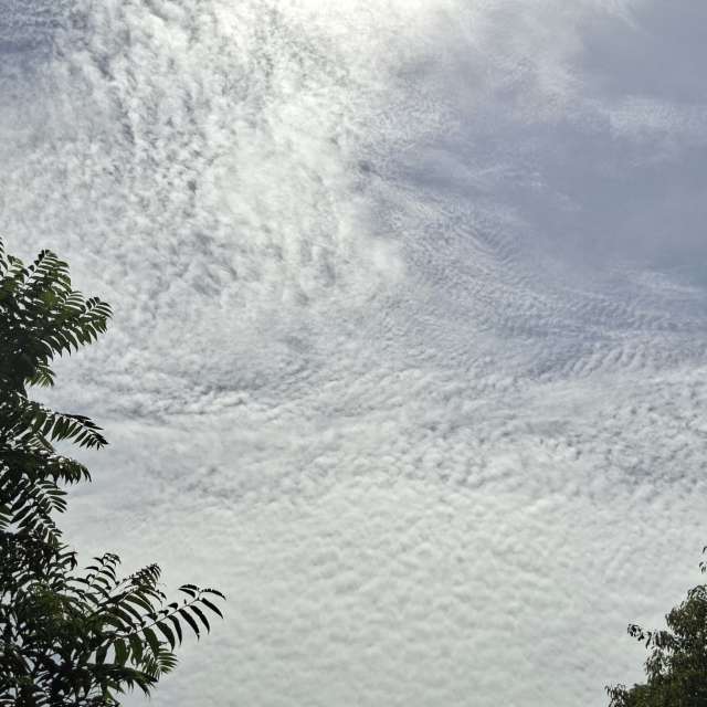 Photos Troupeau. Prévisions météo avec de superbes photos de Wen-ya Huang de Kaohsiung