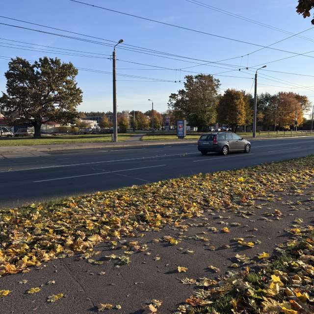 Grass. Weather forecasts with beautiful photos by Svet-Lana Photos in Rīga