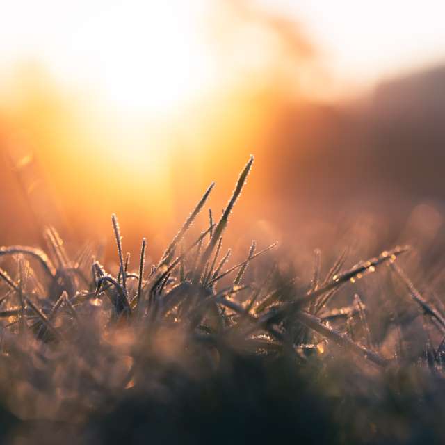 Previsões do tempo com lindas fotos de Li-Bro