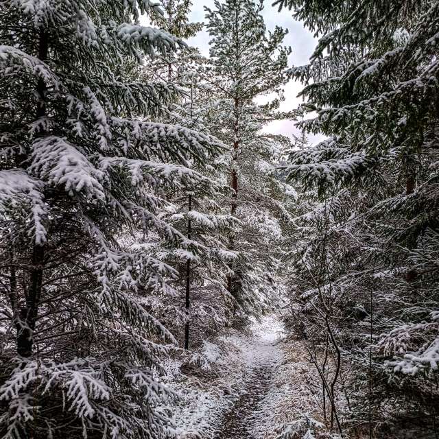 Weather forecasts with beautiful photos by _richardd