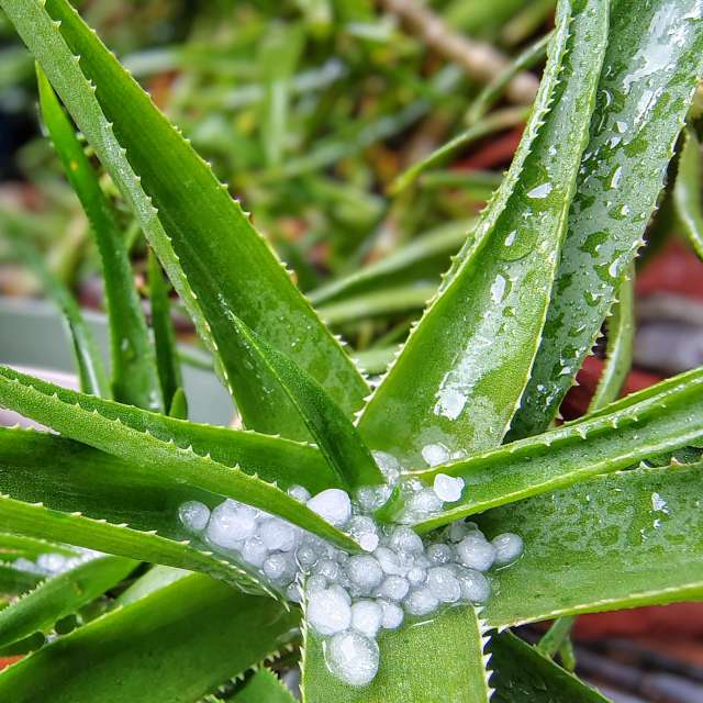 Прогнозы погоды с чудесными фотографиями, сделанными Ghostroku