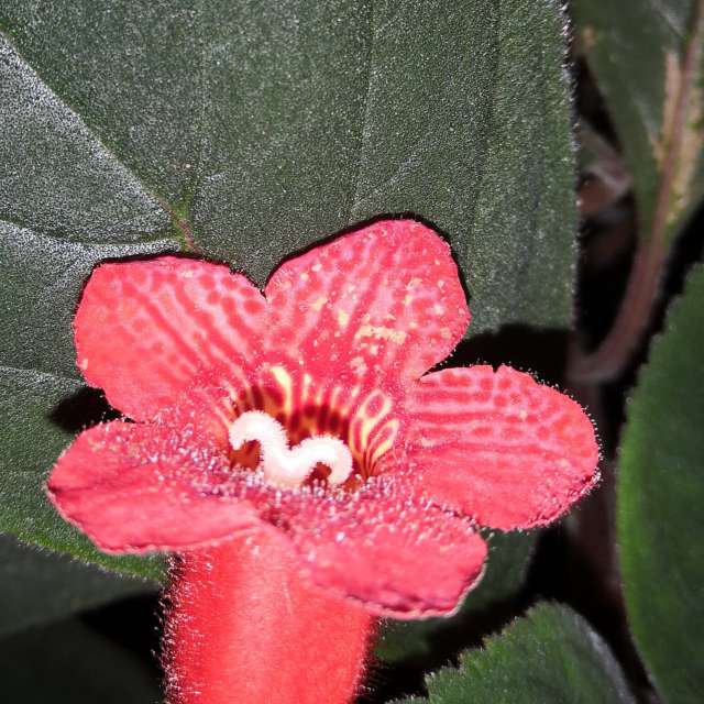 Wettervorhersagen mit schönen Fotos von Yurik