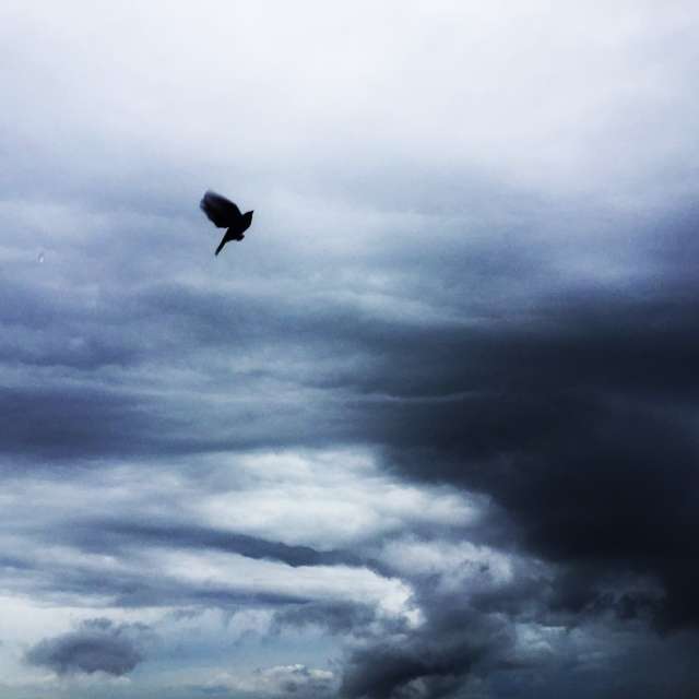 Cloudscapesの美しい写真による天気予報