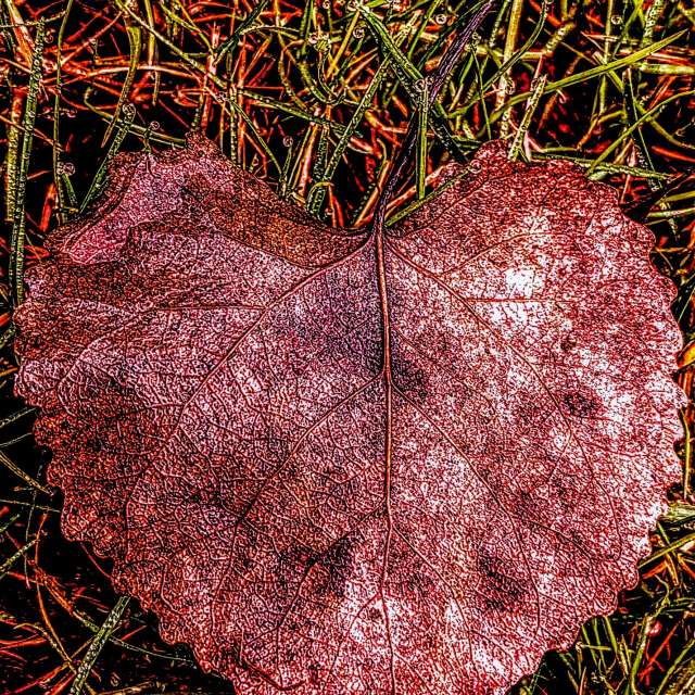 天气预报，带Ghostroku精美的照片