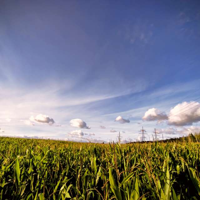 Previsões do tempo com lindas fotos de -_-devil666-_-