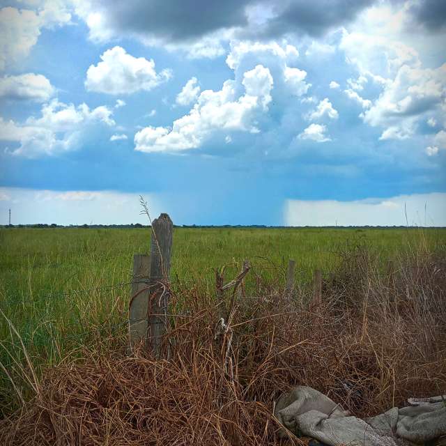 Almaの美しい写真による天気予報