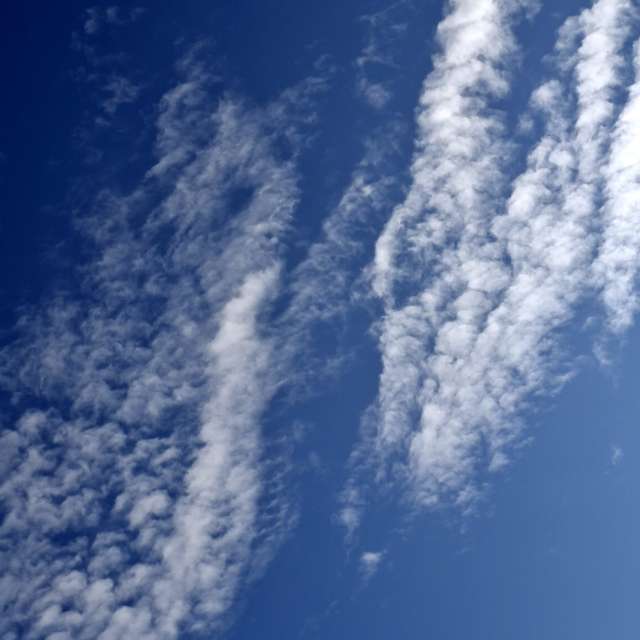 Fotos Lutador. Previsões do tempo com lindas fotos de Wen-ya Huang em Kaohsiung City