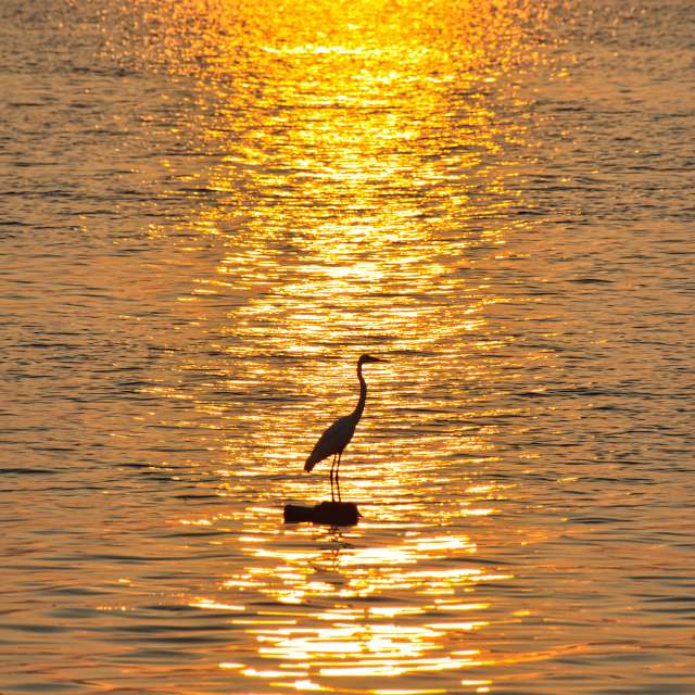 Previsões do tempo com lindas fotos de Vimal_Ram_S