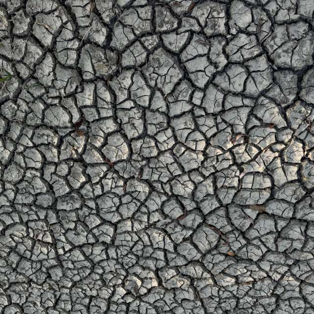 Prévisions météo avec de superbes photos de Sonia