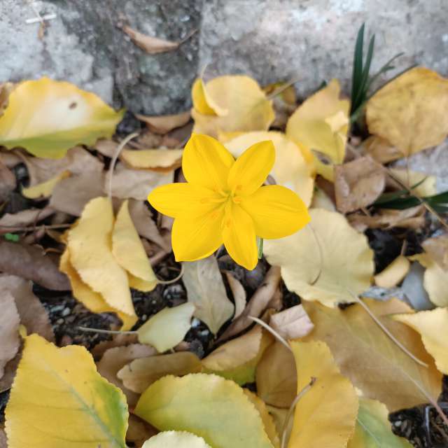 Dự báo thời tiết với những bức ảnh đẹp của Derebey