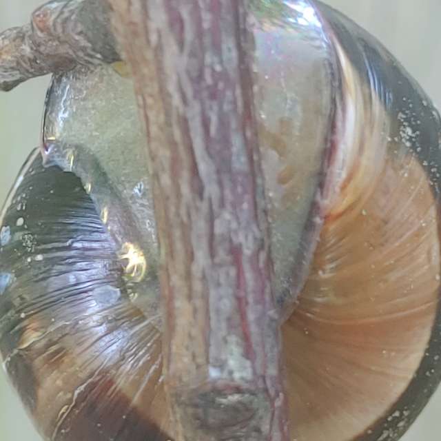 Jazzinevirgaの美しい写真による天気予報