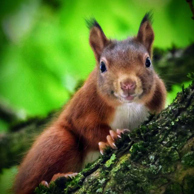 GREENE. Weather forecasts with beautiful photos by Lotti5507 Photos in Wellinghofen