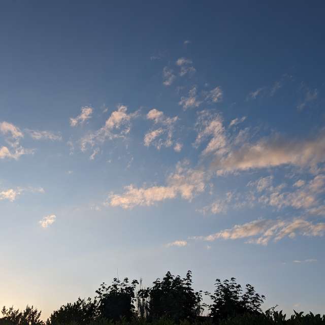 Gras. Wettervorhersagen mit schönen Fotos von Roytinez31 Fotos Cugnaux