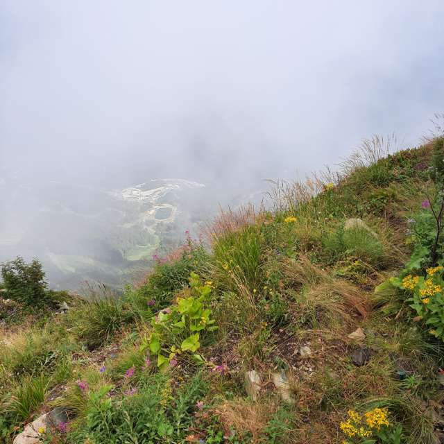 Weather Photos in World. Weather forecasts with beautiful photos by Olga_K