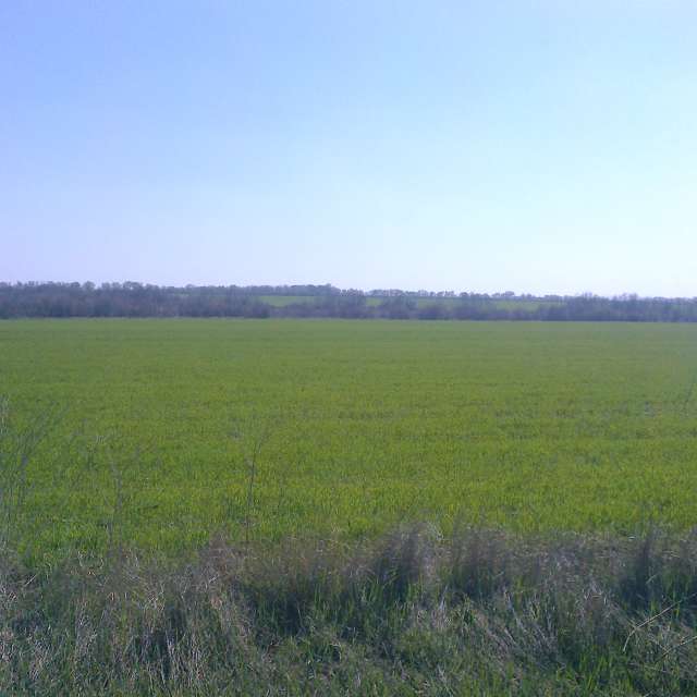 Zaporozhye的Weather. 天气预报，带Яна Вернер精美的照片照片