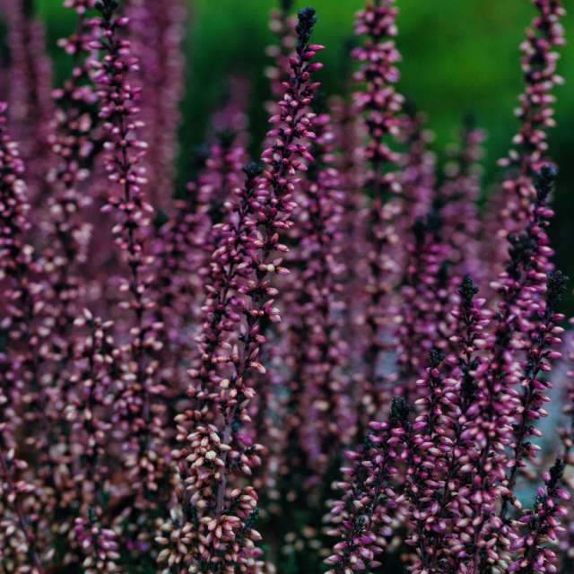 Weather forecasts with beautiful photos by martinm611