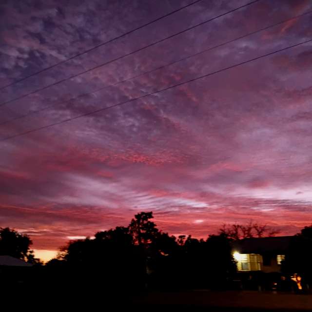 Teriの美しい写真による天気予報