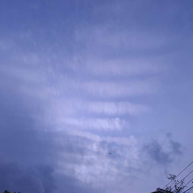 Traveling. Weather forecasts with beautiful photos by Wen-ya Huang Photos in Kaohsiung City