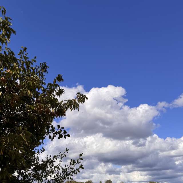 Weather forecasts with beautiful photos by Svet-Lana