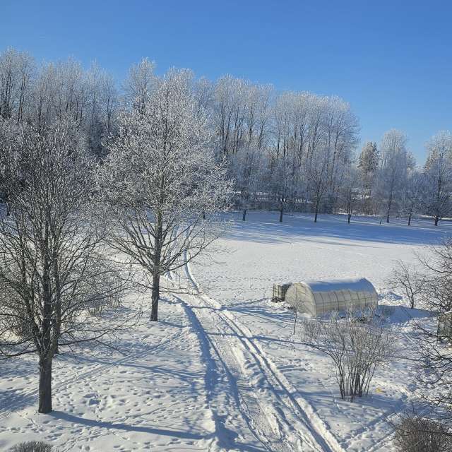 Pronósticos del tiempo con hermosas fotos de Sandra Bokisha