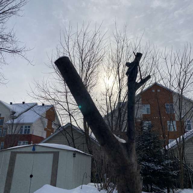 Haus. Wettervorhersagen mit schönen Fotos von Lulu5523 Fotos Outaouais