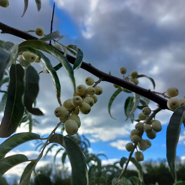 Cloudy. Weather forecasts with beautiful photos by Iryna Photos in Kharkiv