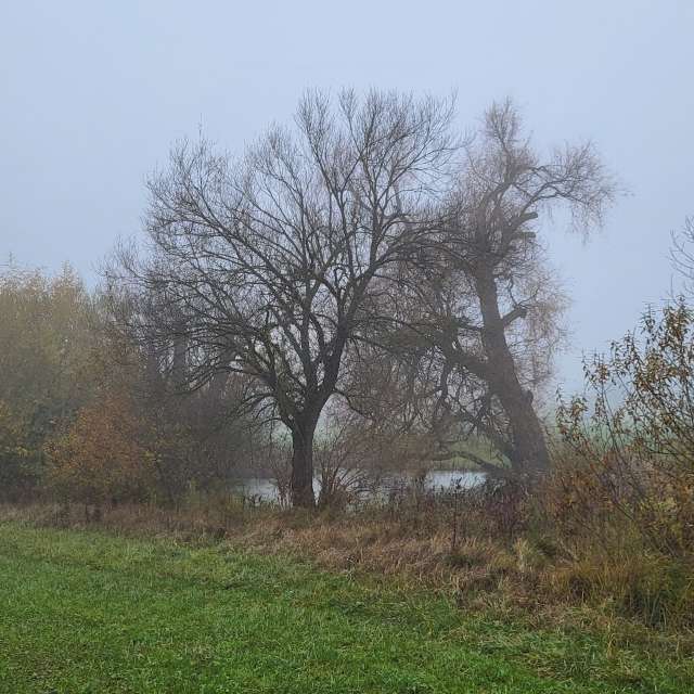 Pronósticos del tiempo con hermosas fotos de aida-khaldi