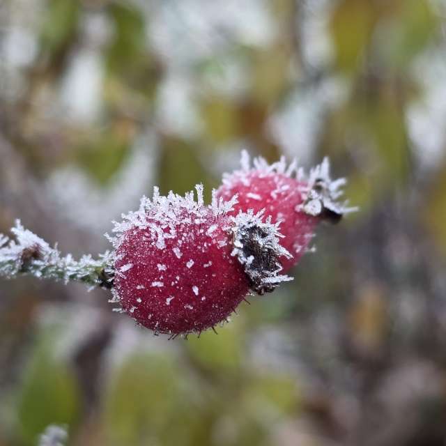 天气预报，带Brtd精美的照片