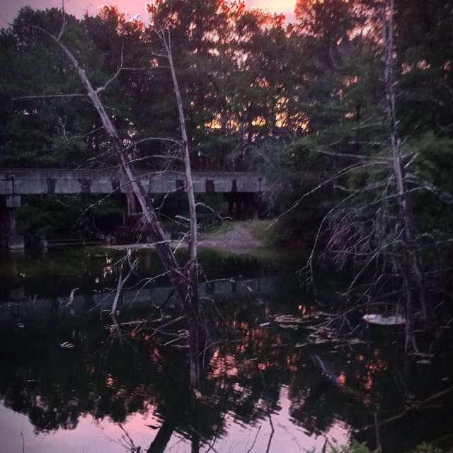 Almaの美しい写真による天気予報