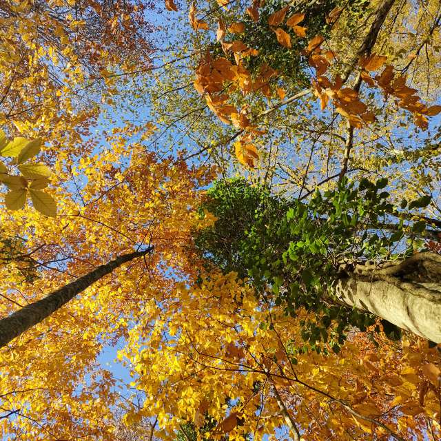 Fotos del Clima. Pronósticos del tiempo con hermosas fotos de Елен en Sochi