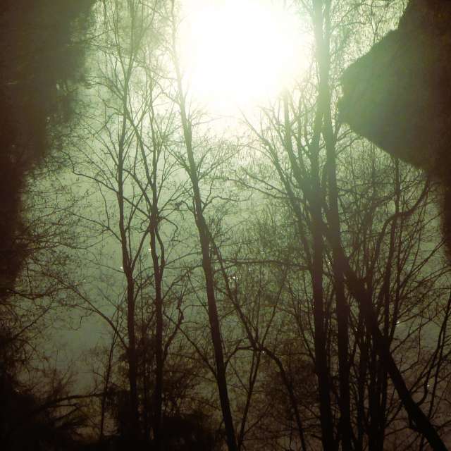 Licht. Wettervorhersagen mit schönen Fotos von AlmaGenute53 Fotos Litauen