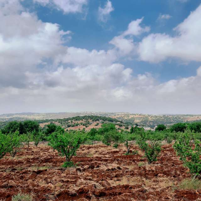 Weather forecasts with beautiful photos by Jess88