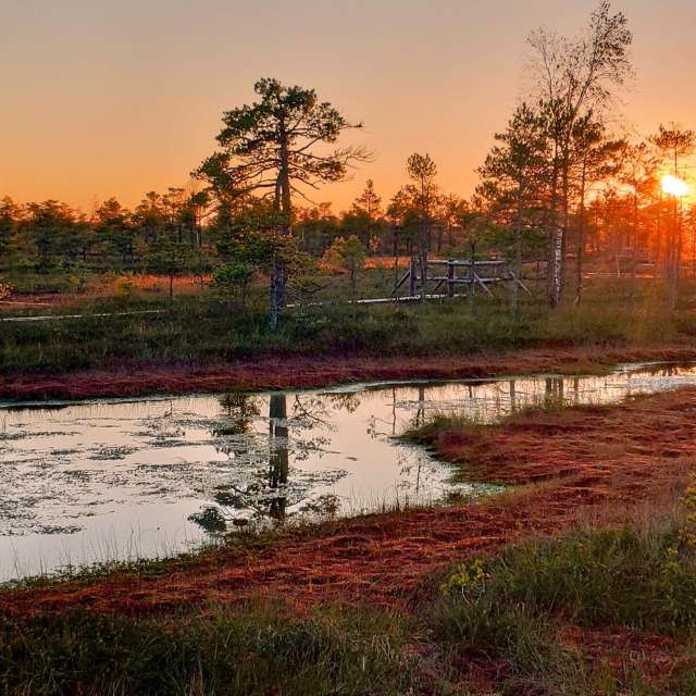Grassy. Weather forecasts with beautiful photos by newgen Photos in World