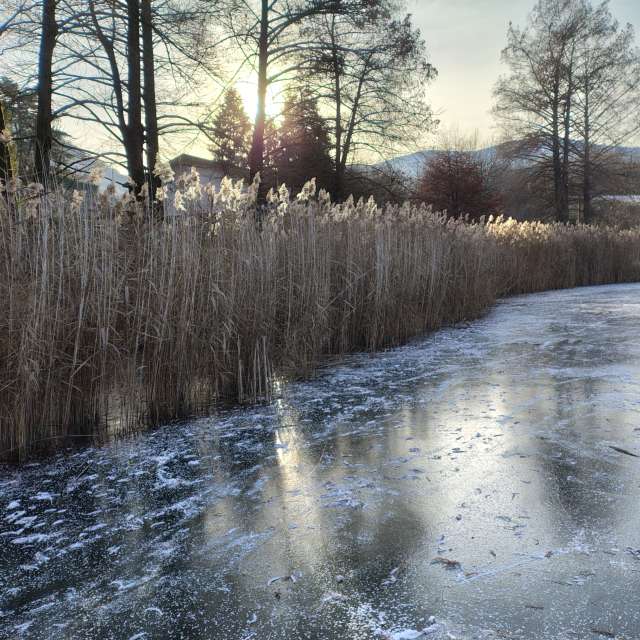 Cold. Weather forecasts with beautiful photos by Beppe Photos in World