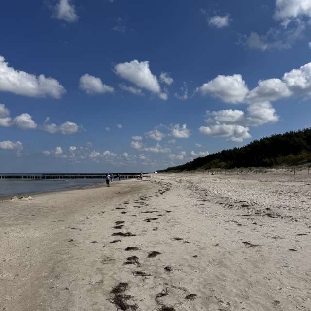 天气预报，带man-of-the-sea-and-land精美的照片