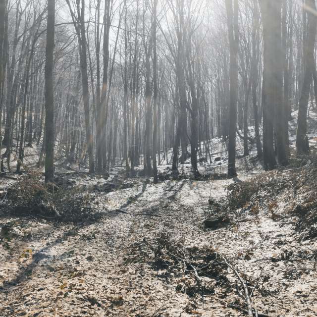 Fotos Abordado. Previsões do tempo com lindas fotos de Сергій Данчівський em Uzhgorod