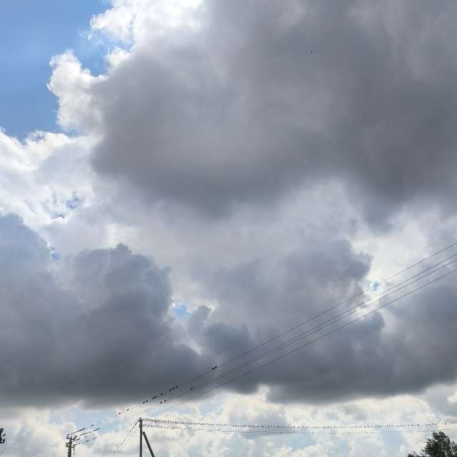 Wettervorhersagen mit schönen Fotos von Valiukas