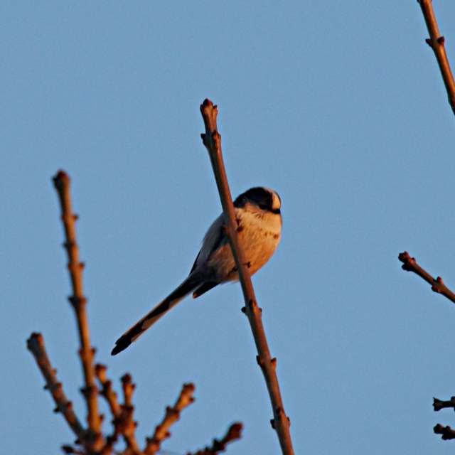 Wire. Weather forecasts with beautiful photos by tony5636 Photos in Calvisson
