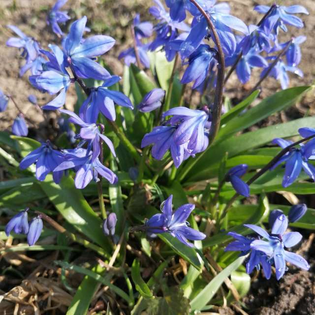 天气预报，带vilinsckayaolga精美的照片