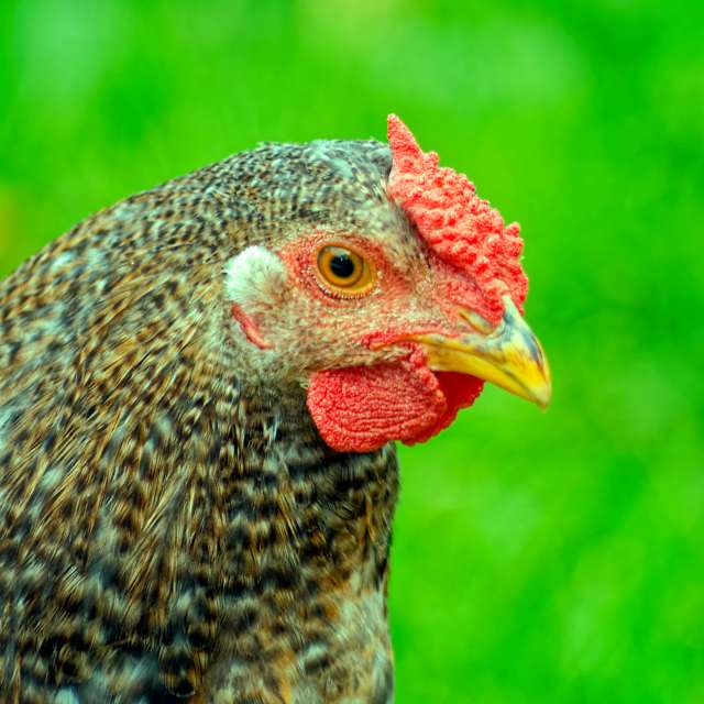 Прогнозы погоды с чудесными фотографиями, сделанными Aleh_Narushevich