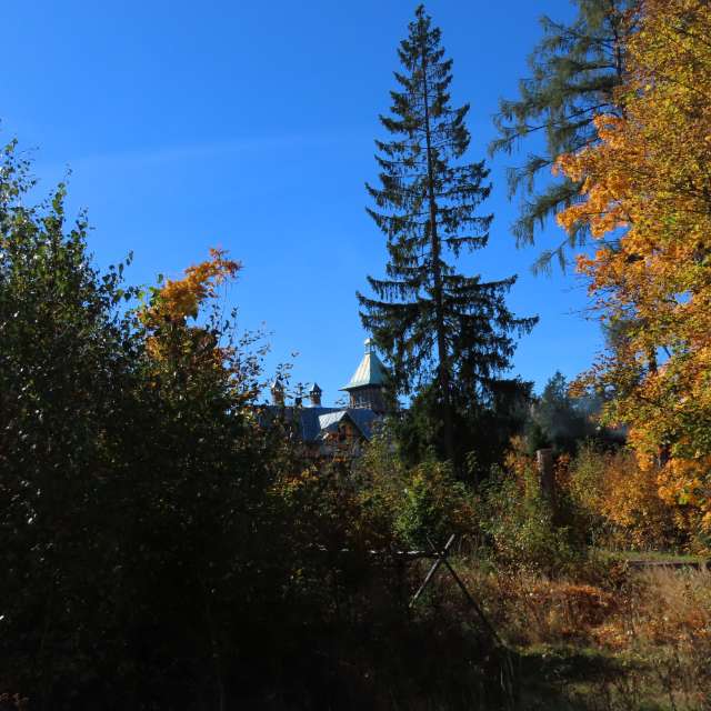 天气预报，带Sviatoslav精美的照片