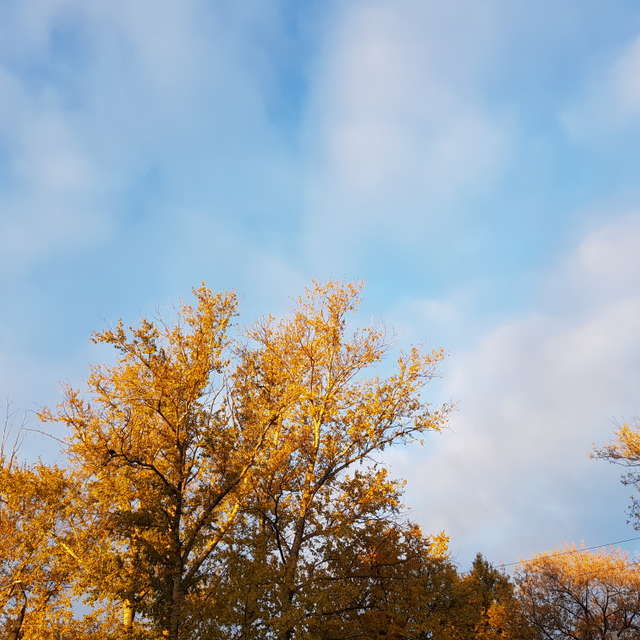 天气预报，带andreyfetisov精美的照片