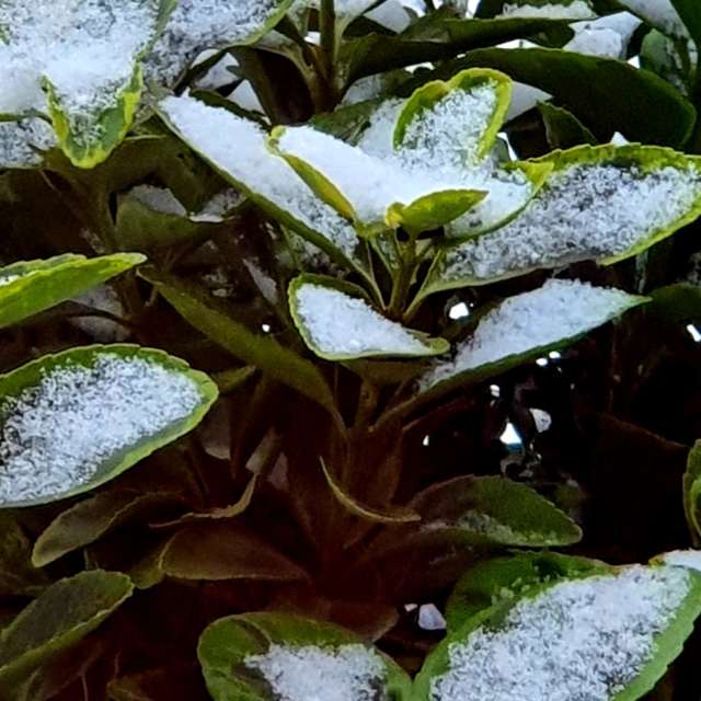 Weather forecasts with beautiful photos by Anett