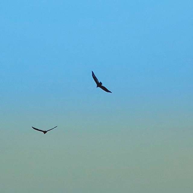 天气预报，带Zim Lotsa精美的照片