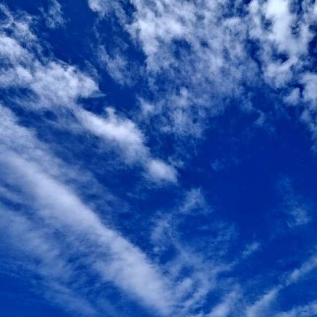 Fotos Lutador. Previsões do tempo com lindas fotos de Wen-ya Huang em Kaohsiung City