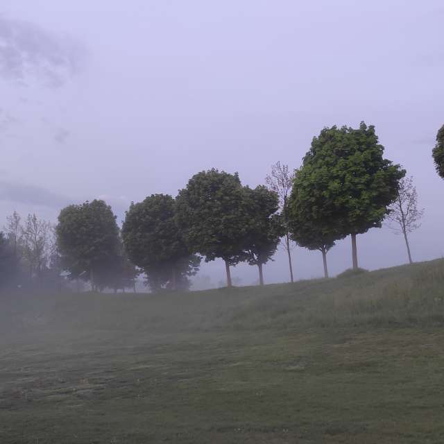 Weide. Wettervorhersagen mit schönen Fotos von Kripo Fotos Niederösterreich